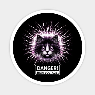 Danger High Voltage Magnet